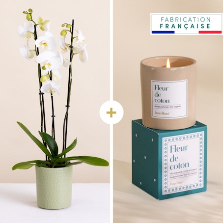 Orchidée et sa bougie parfumée