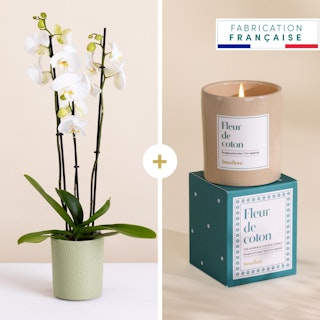 Orchidée et sa bougie parfumée