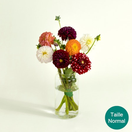 1750959075-1202857-2025