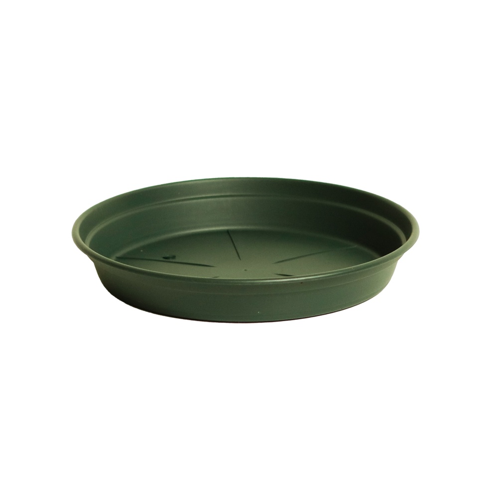 Coupelle Plastique Verte Ø20cm - Lot de 5
