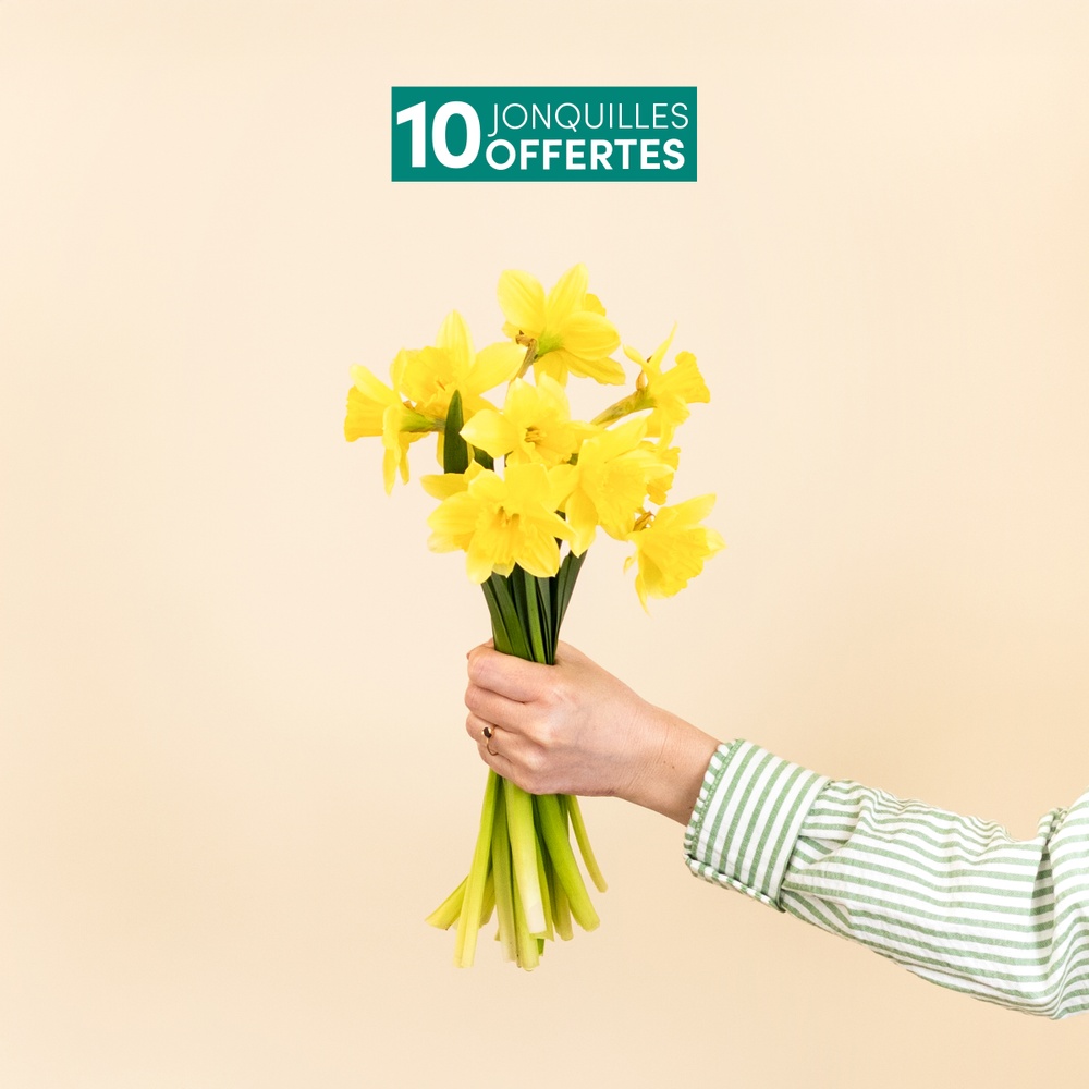 Brassée de roses multicolores et ses 10 Jonquilles offertes