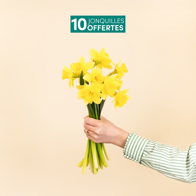 Brassée de roses multicolores et ses 10 Jonquilles offertes