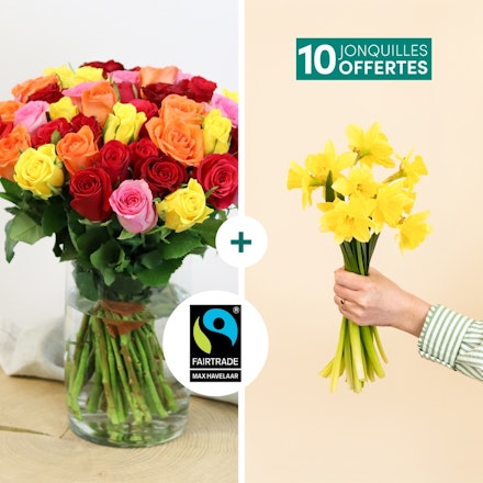 Brassée de roses multicolores et ses 10 Jonquilles offertes