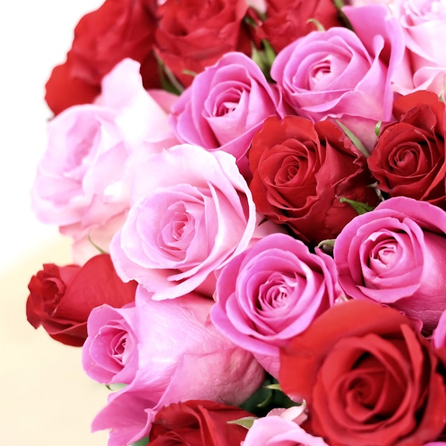 Brassée de roses roses Max Havelaar