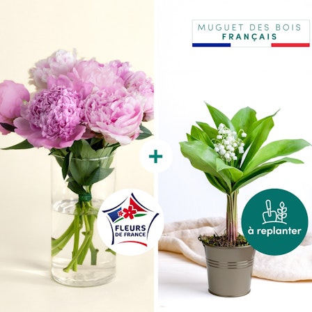 1750959075-1202857-2025