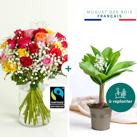 1750959075-1202857-2025