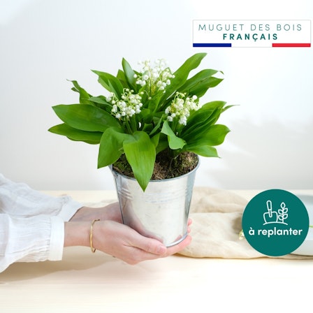 1750959075-1202857-2025