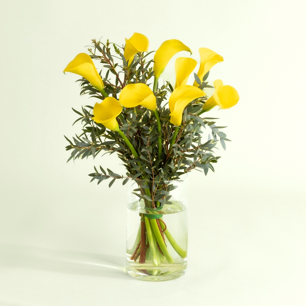 Petite brassée de callas