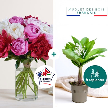 1750959075-1202857-2025