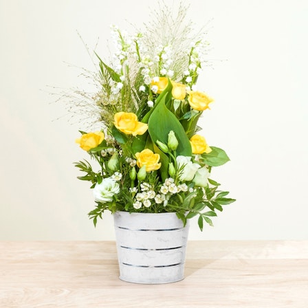 1750959075-1202857-2025