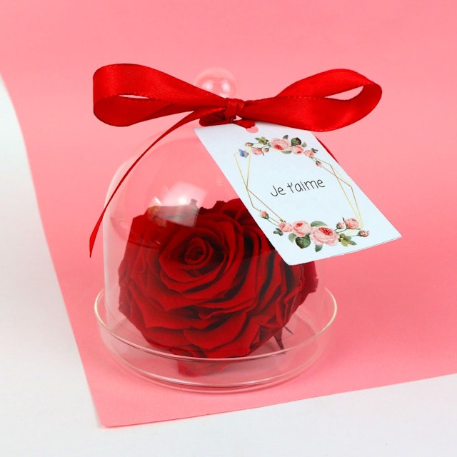 Rose éternelle sous cloche