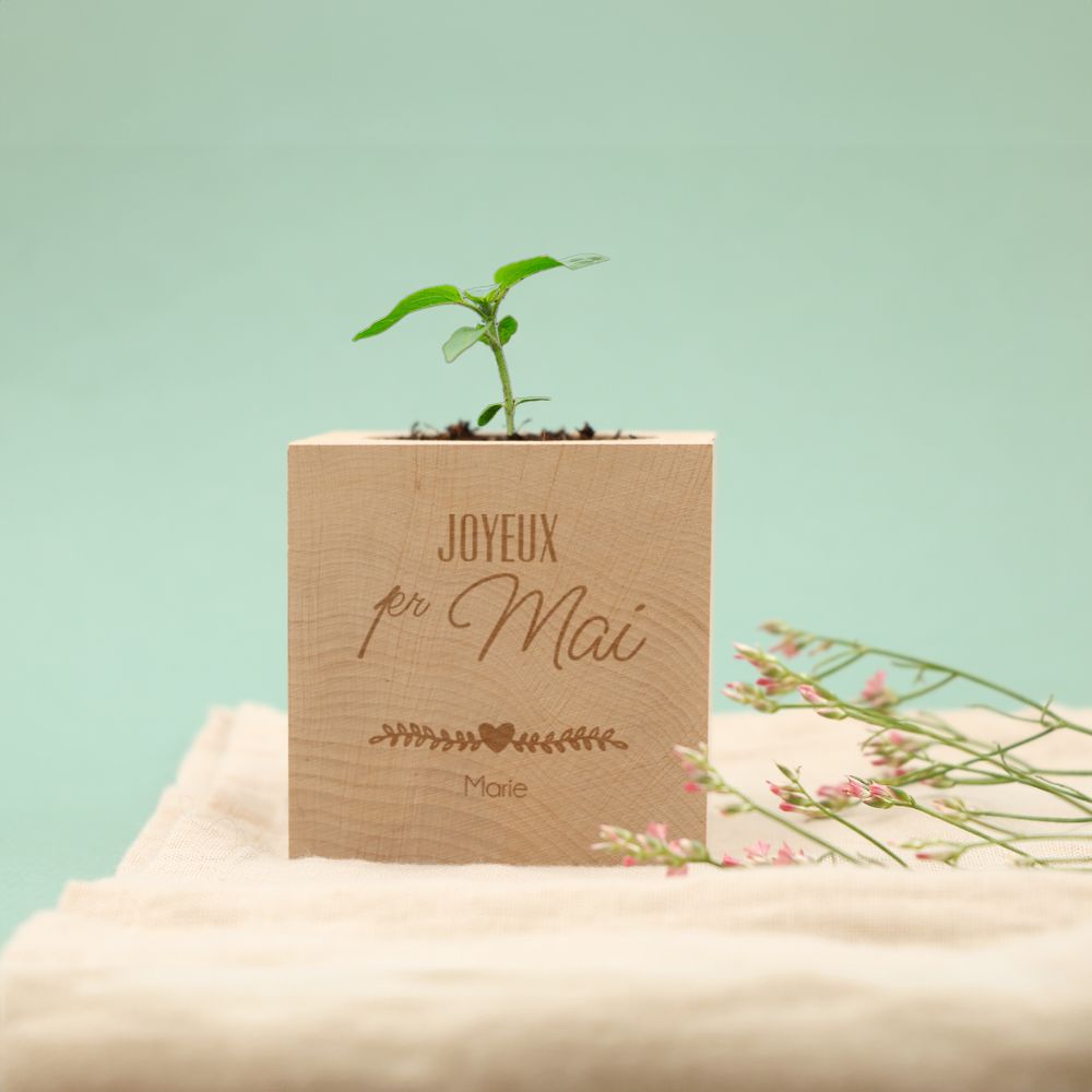 Ecocube personnalisable