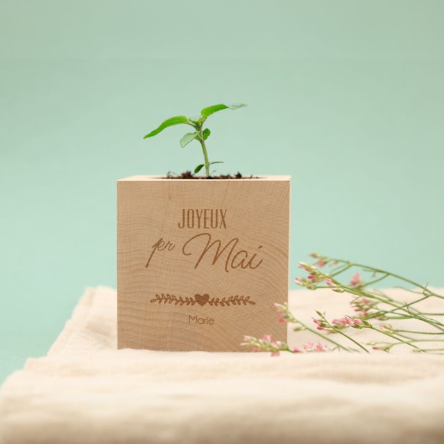 Ecocube personnalisable