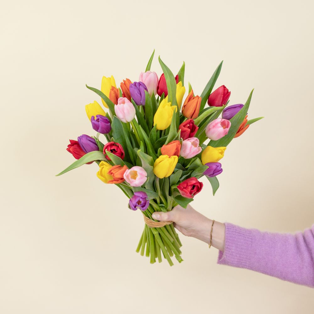 Brassée de tulipes