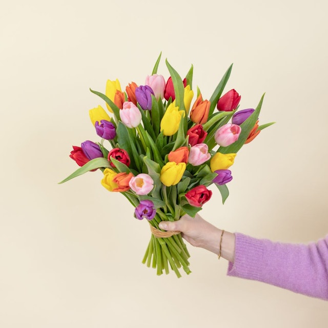 Brassée de tulipes