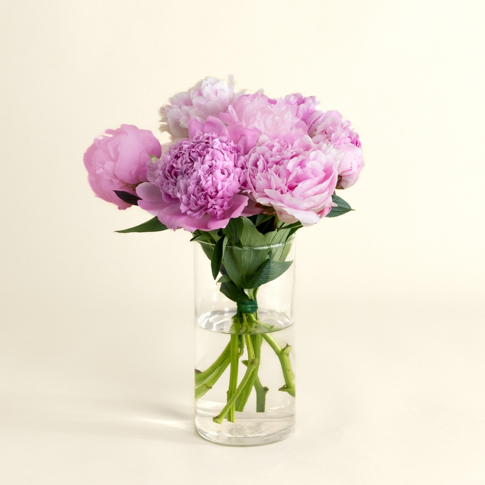 Petite brassée de pivoines