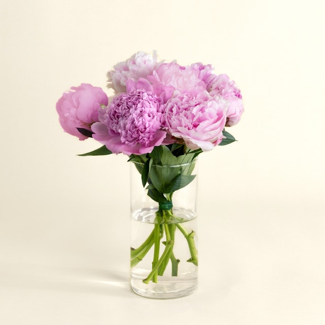 Petite brassée de pivoines