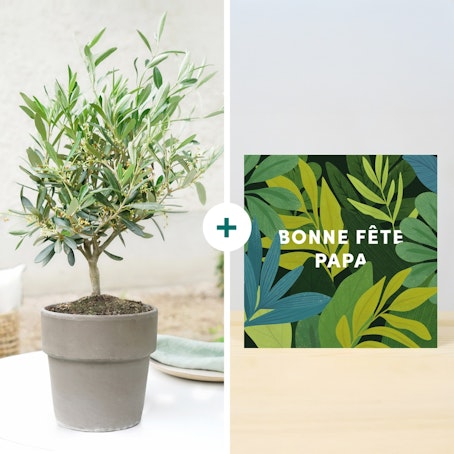 Olivier et sa carte à personnaliser Bonne fête papa