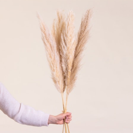 1750959075-1202857-2025