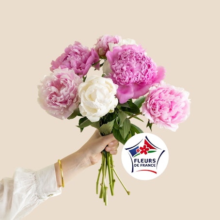 Petite brassée de pivoines variées