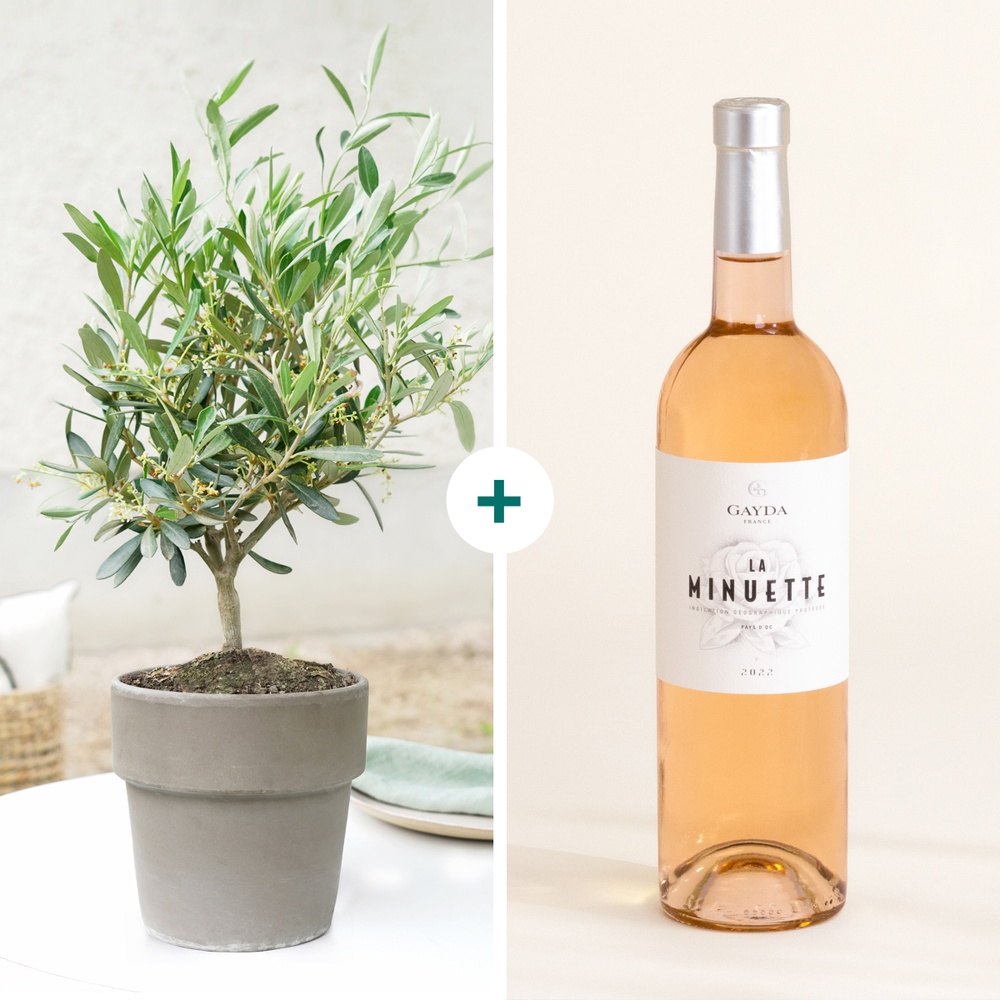 Olivier et son vin rosé La Minuette