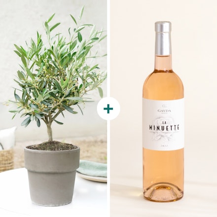 Olivier et son vin rosé La Minuette