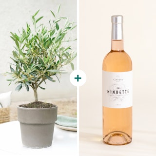 Olivier et son vin rosé La Minuette
