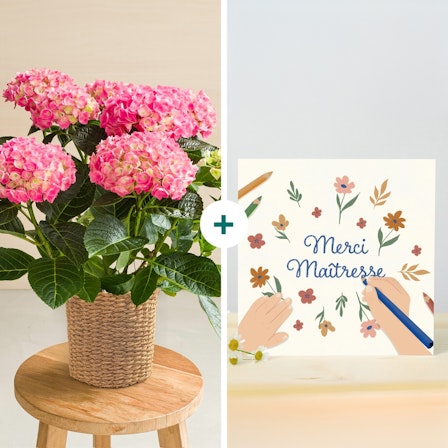 1750959075-1202857-2025