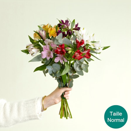 1750959075-1202857-2025