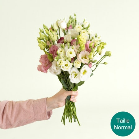 1750959075-1202857-2025