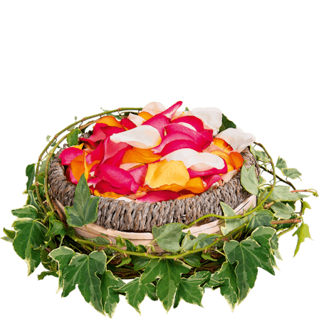 1750959075-1202857-2025