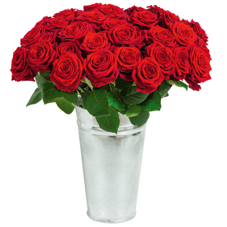 1750959075-1202857-2025