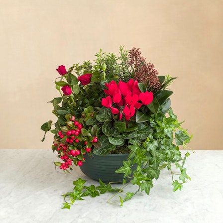 1750959075-1202857-2025