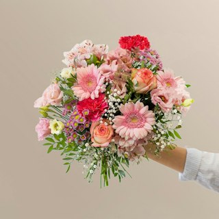 Eternelle gratitude