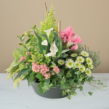 1750959075-1202857-2025