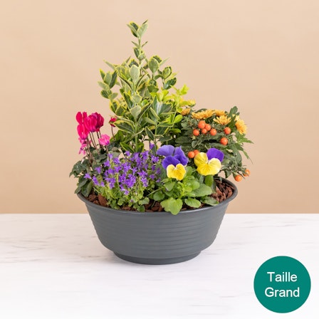 1750959075-1202857-2025