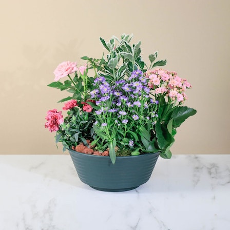 1750959075-1202857-2025