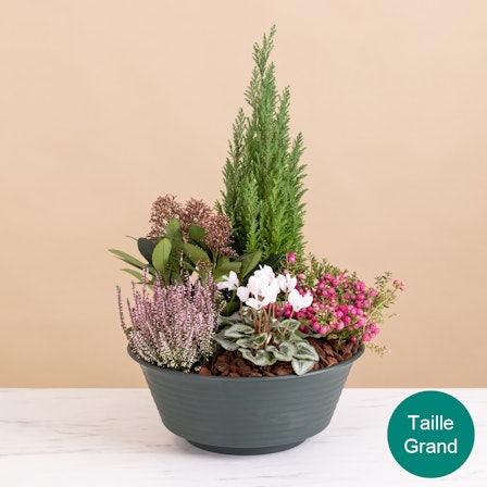 1750959075-1202857-2025