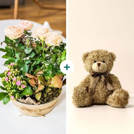 Coin de paradis et son ourson Harry