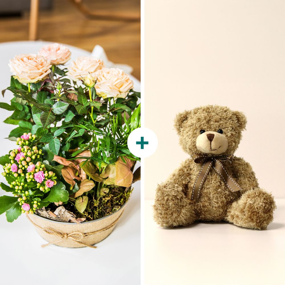 Coin de paradis et son ourson Harry