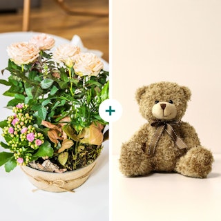 Coin de paradis et son ourson Harry