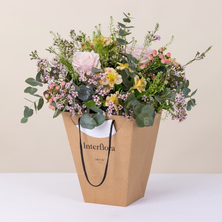 Sorbet et son sac cadeau