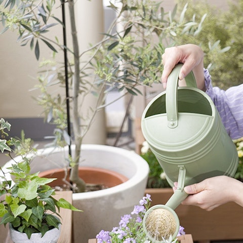 Nos conseils d'entretien