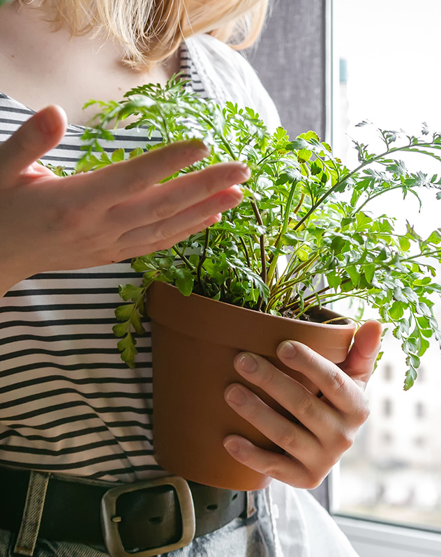 Nos conseils d'entretien
