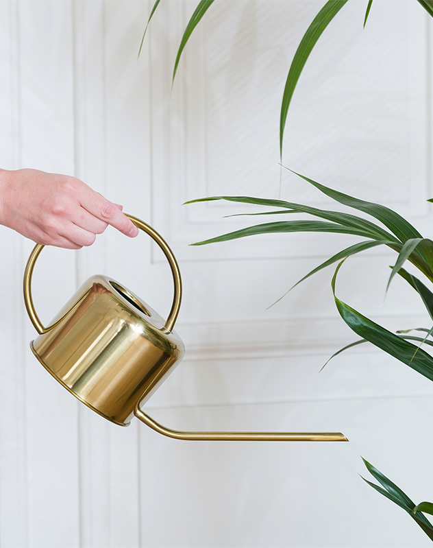 Nos conseils d'entretien