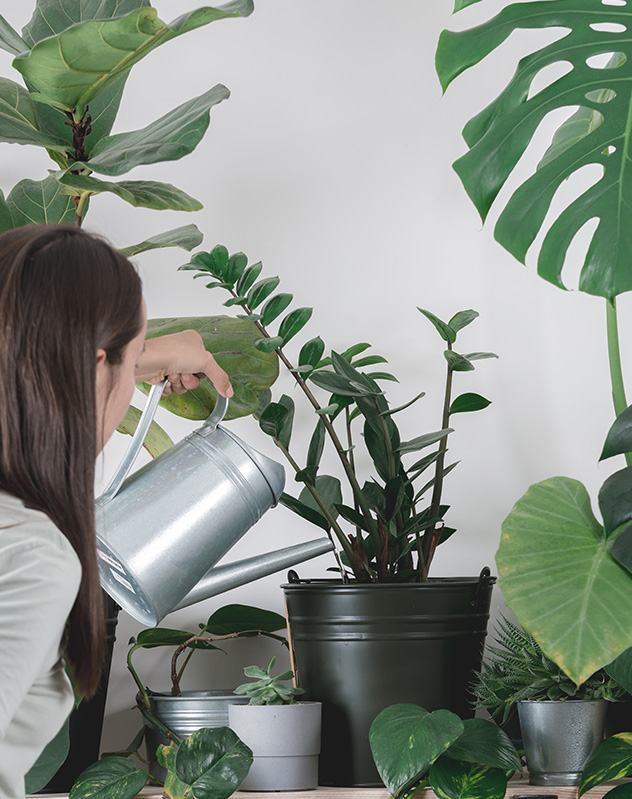 Nos conseils d'entretien