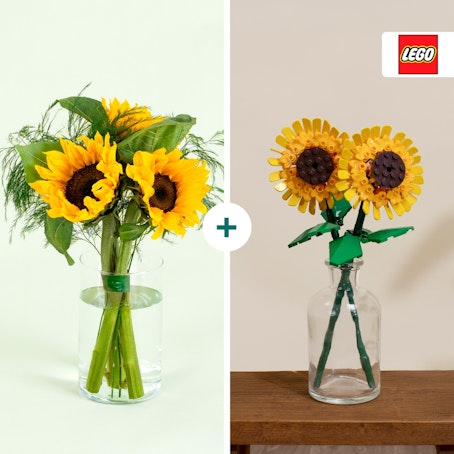 Coffret LEGO Tournesols