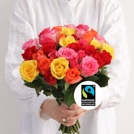 Brassée de roses multicolores