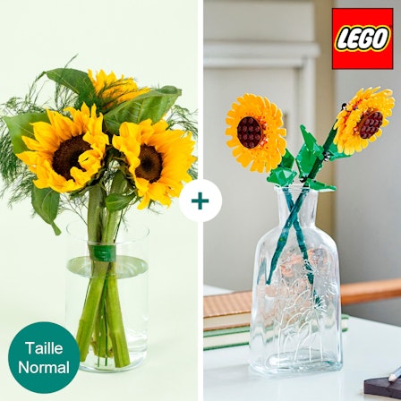 1750959075-1202857-2025