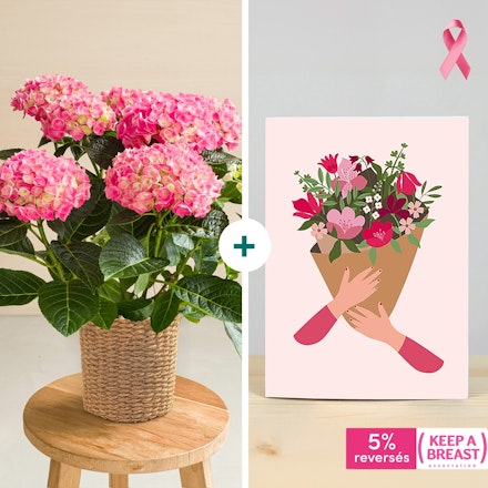 Hortensia et sa carte message Octobre rose